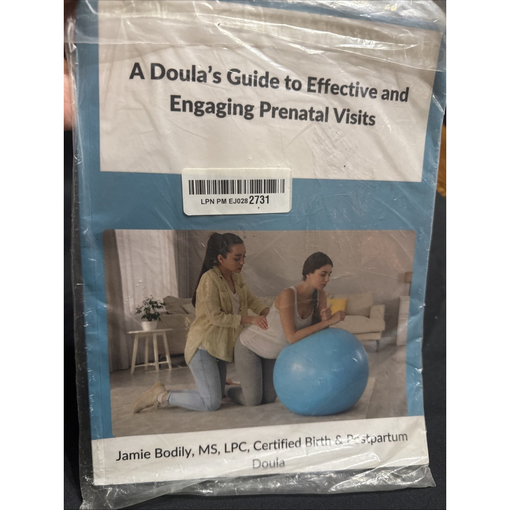 A Doula's Guide to Effective & Engaging Prenatal Visits by Jamie Bodily Paperbac